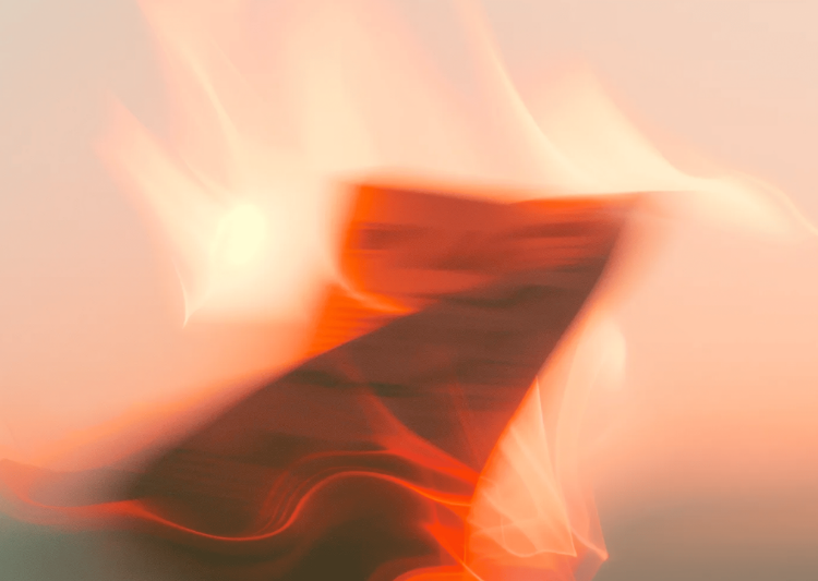 Онлайн-акції з грошовою винагородою: як перевірити легальність та безпечність пропозиції