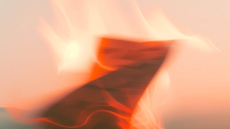 Онлайн-акції з грошовою винагородою: як перевірити легальність та безпечність пропозиції