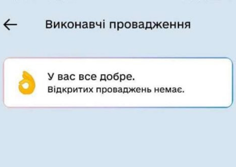Реєстр виконавчих проваджень: як перевірити інформацію онлайн