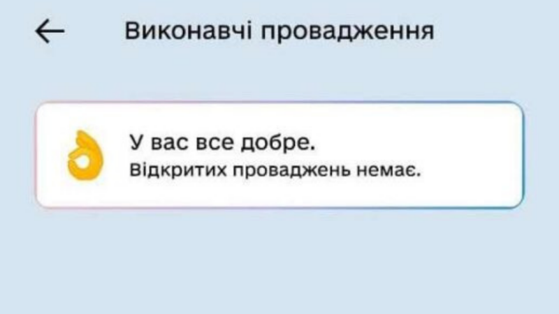 Реєстр виконавчих проваджень: як перевірити інформацію онлайн